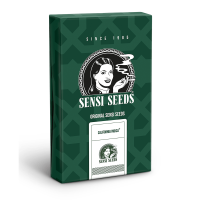Sensi Seeds California Indica | Reg | 10er