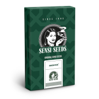 Sensi Seeds Jamaican Pearl | Reg | 10er