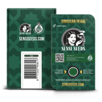 Sensi Seeds Jamaican Pearl | Reg | 10er