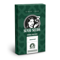 Sensi Seeds American Dream | Reg | 10er