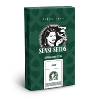 Sensi Seeds Durban | Reg | 10er