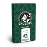 Sensi Seeds Mexican Sativa | Reg | 10er