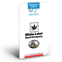 White Label Northern Lights Automatik | Auto | Pack of 5