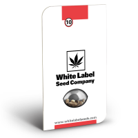 White Label Double Gum | Reg | Pack of 10